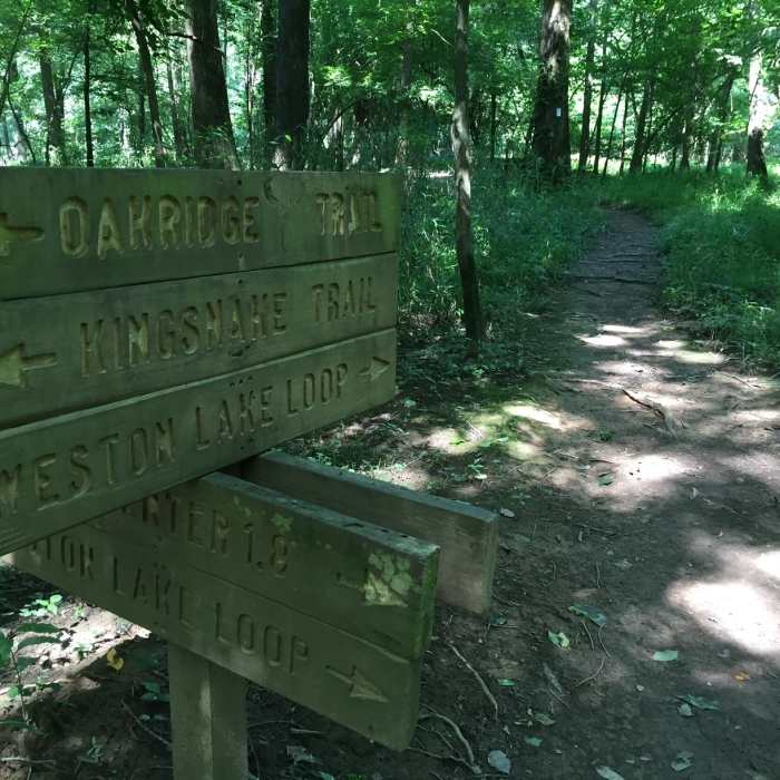 Trail marker Near Kingsnake Trail