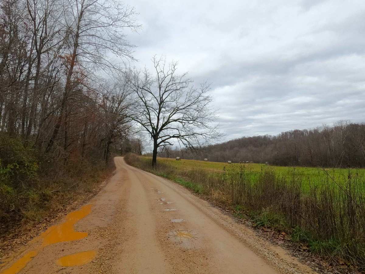 Leopold Road - BCR 402 photo 6