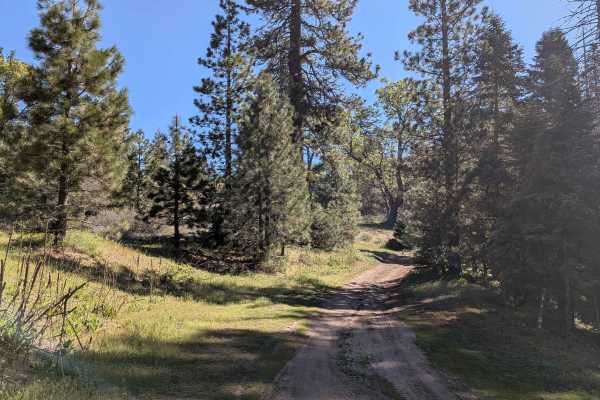 Woodward Peak - FS 32E53