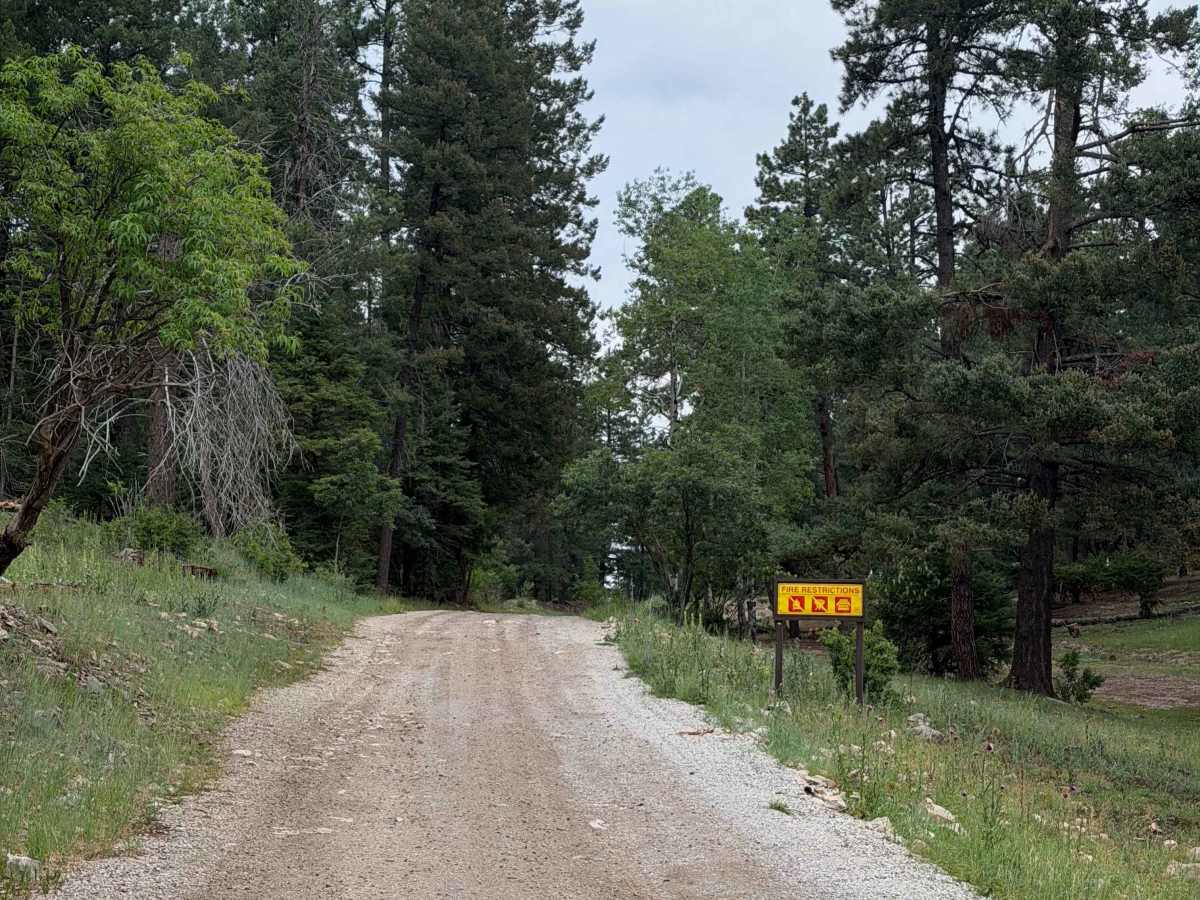 Summer Pasture trail photo
