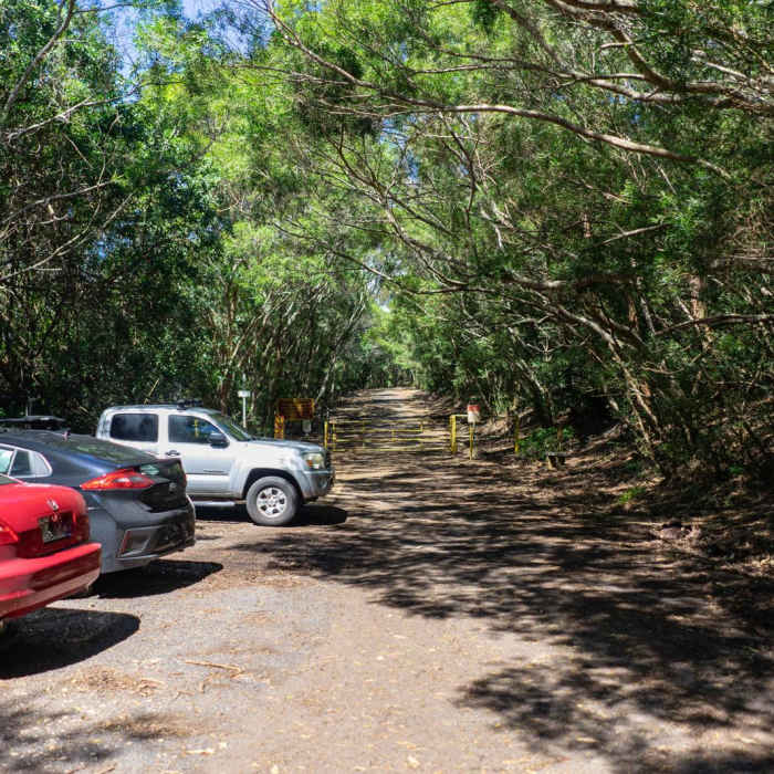 Near Wiliwilinui Trail