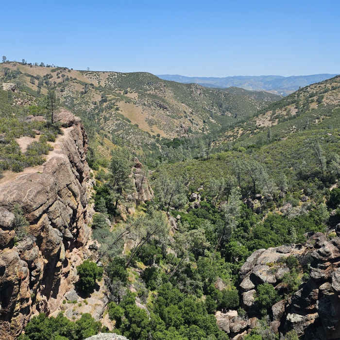 Near Moses Spring Trail