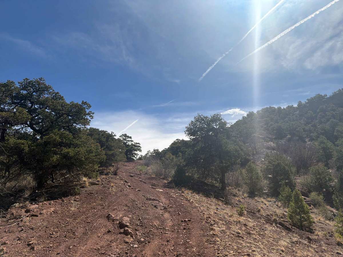 BLM 5965B photo 6