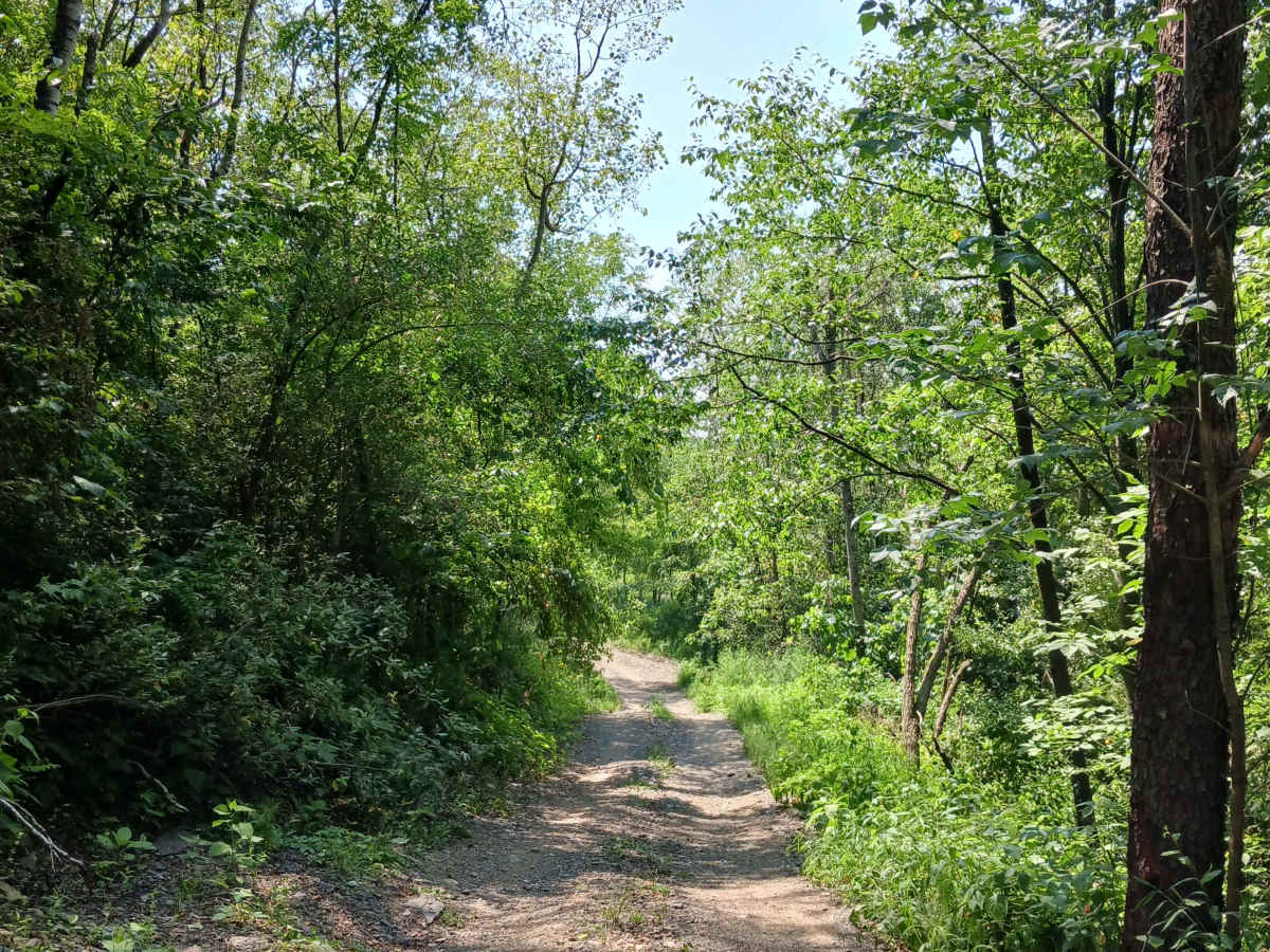 Big Buck Trail - Rock Run Recreation Area photo 6