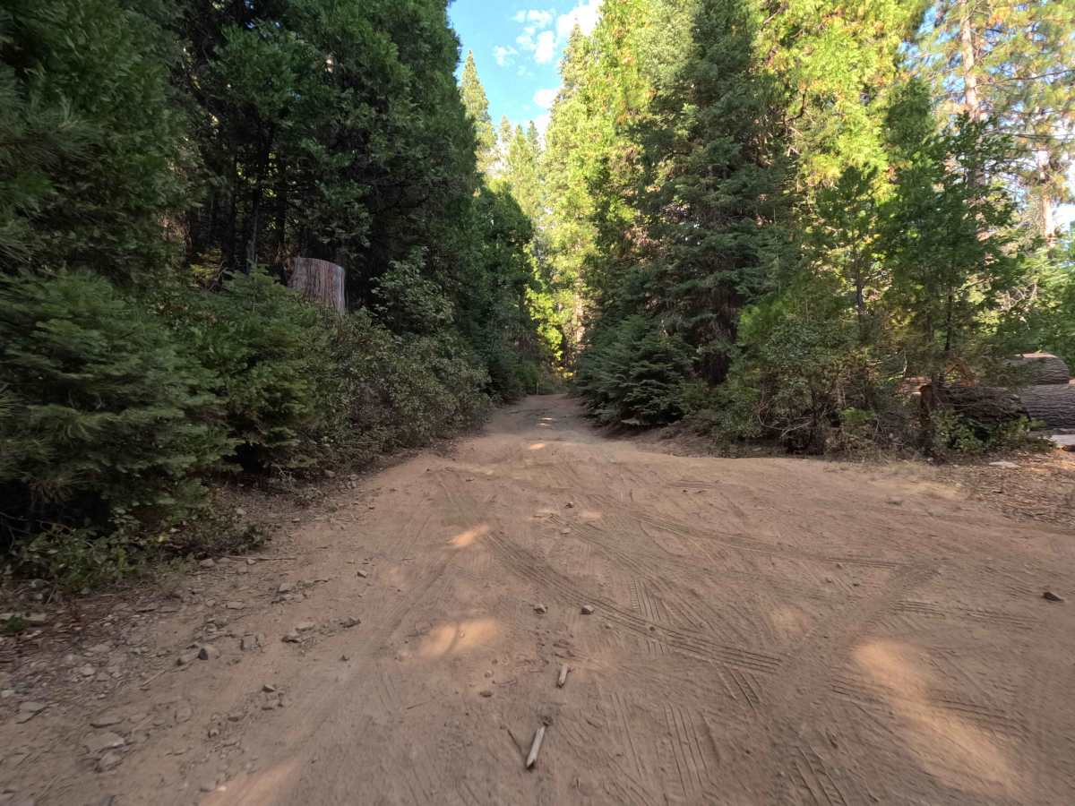 Buffin Meadow Road - FS 5S043 photo 2