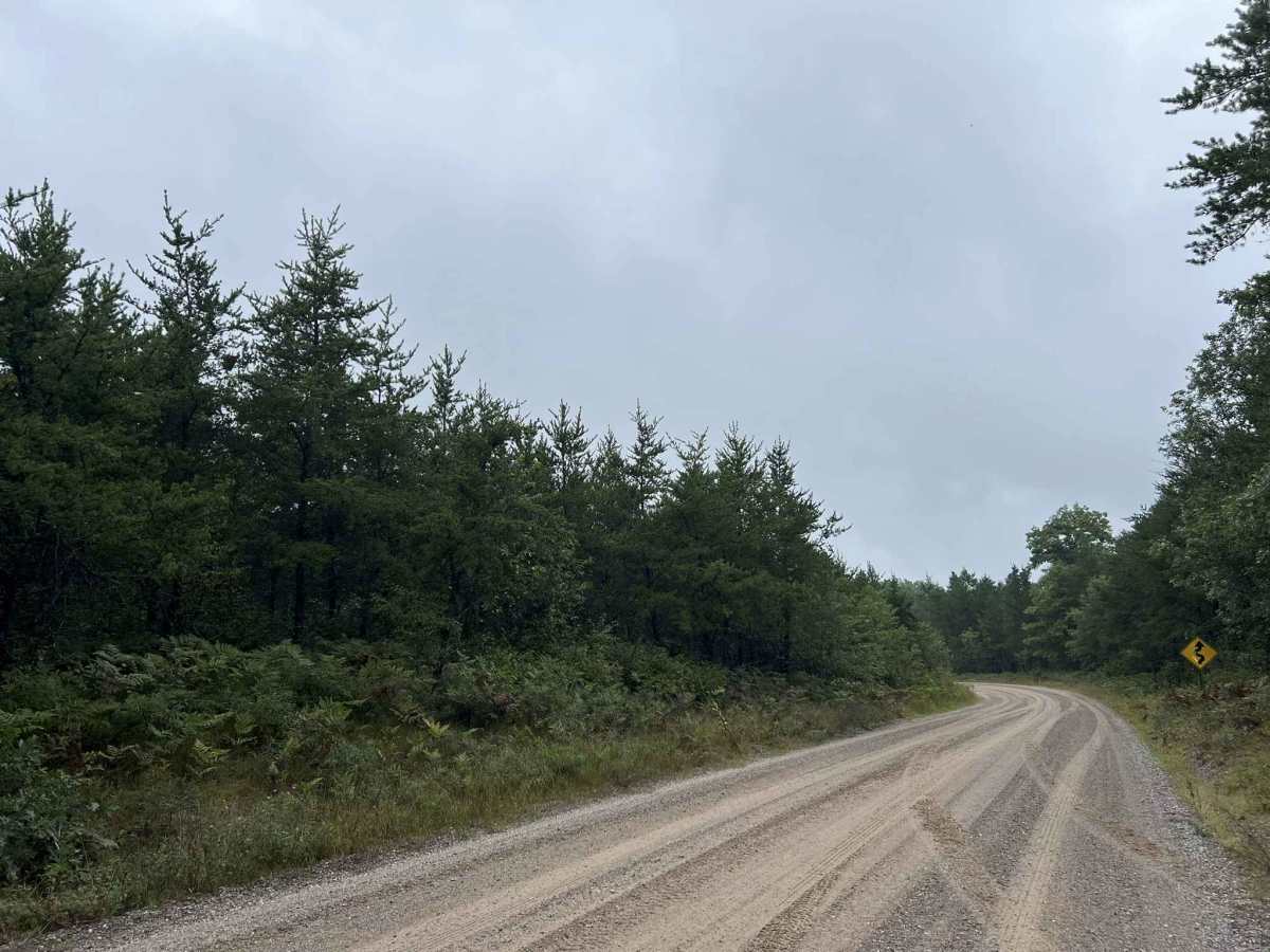 Chickadee Road - FS 2102 photo 3