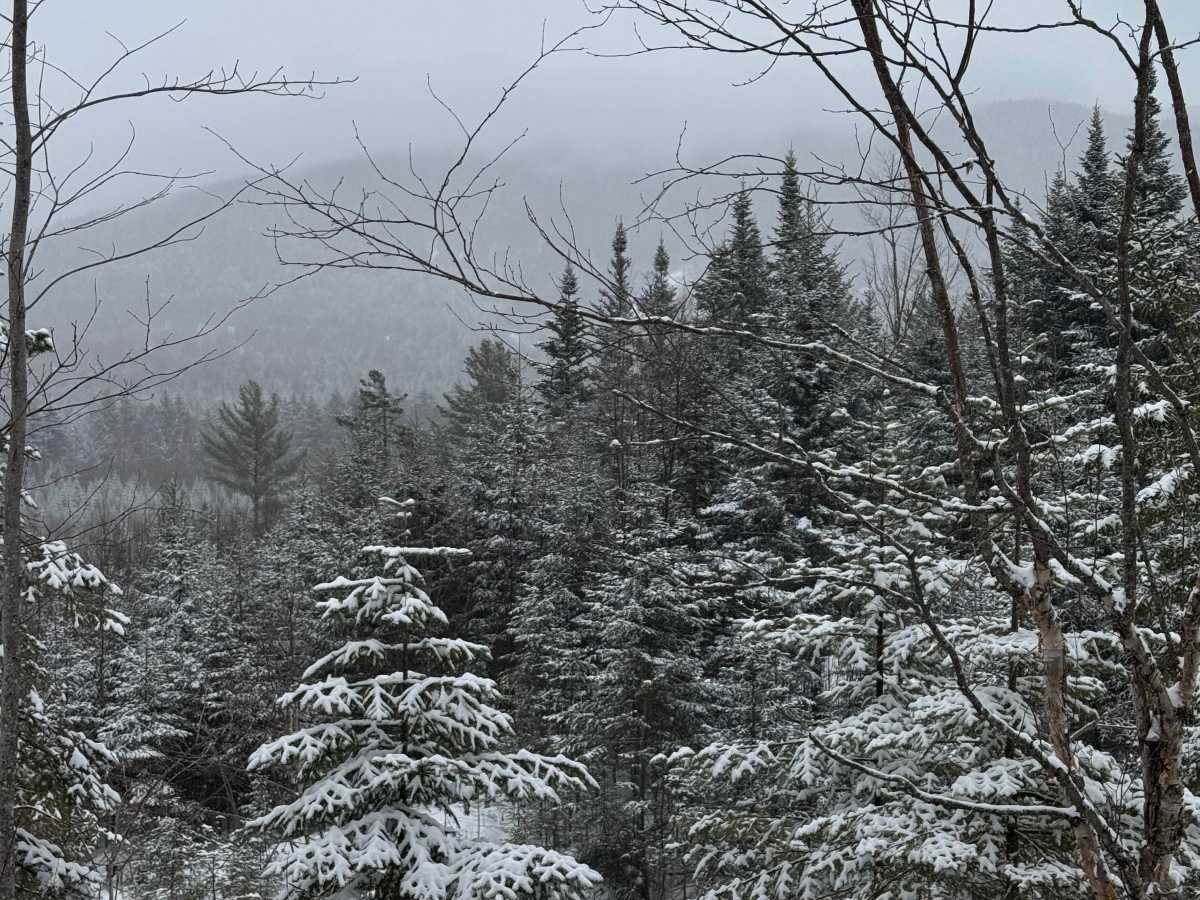 North Pond Road  photo 2