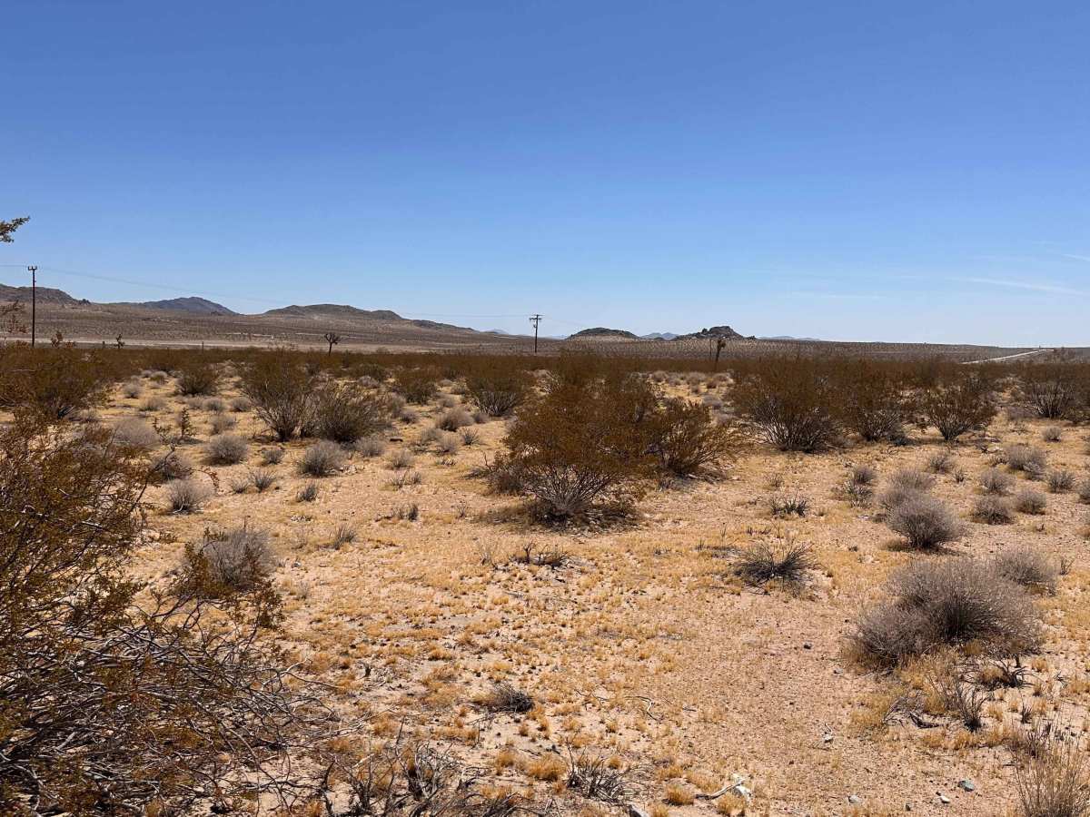 Burro Flats photo 3