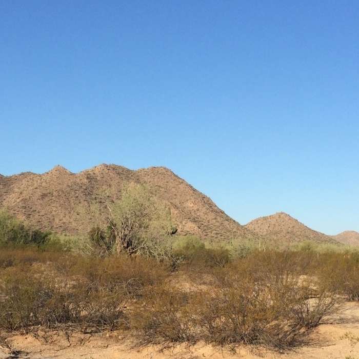 Just outside the main parking area at San Tan Trailhead looking west. Near Moonlight Trail