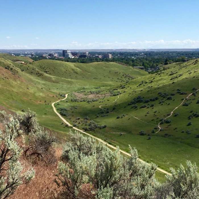 Near Harrison Hollow Trail