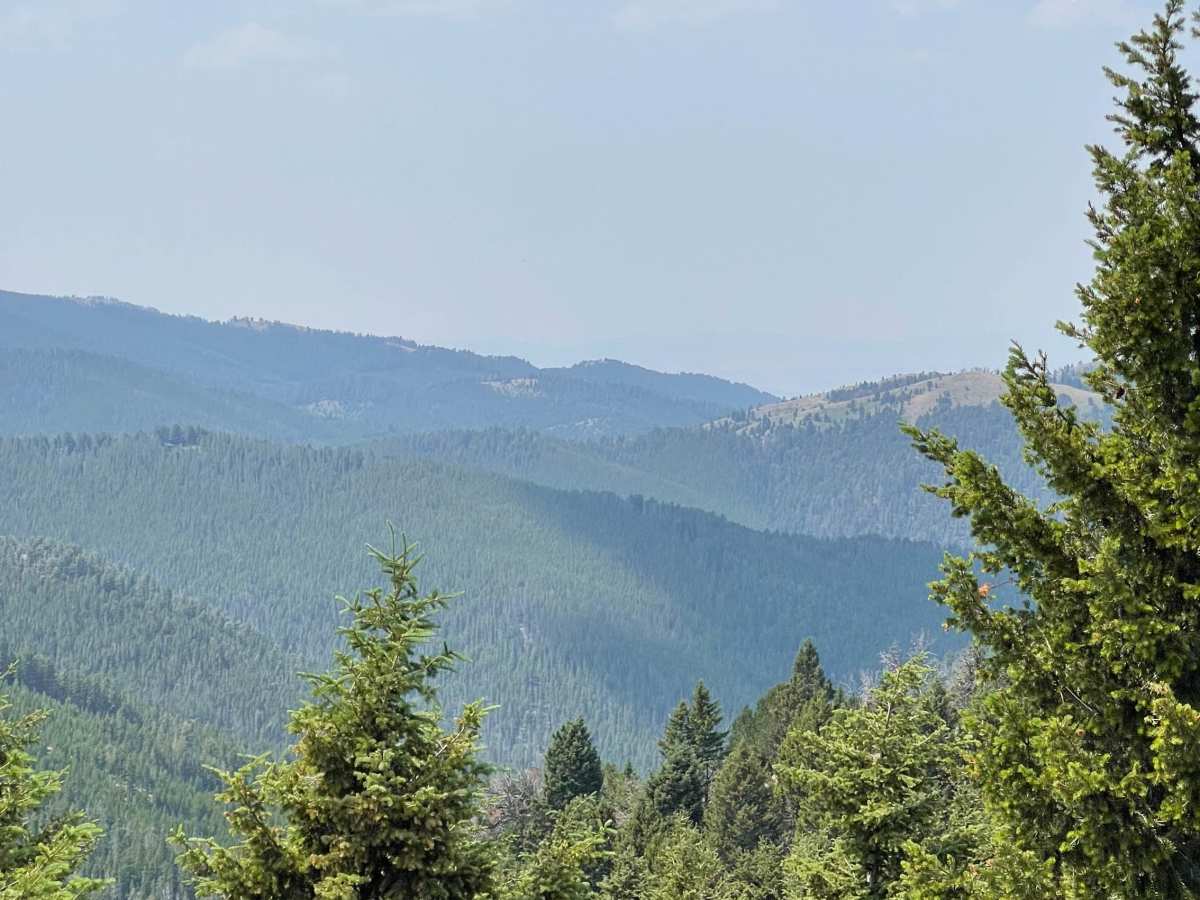 Barton Gulch and Offshoots photo 4