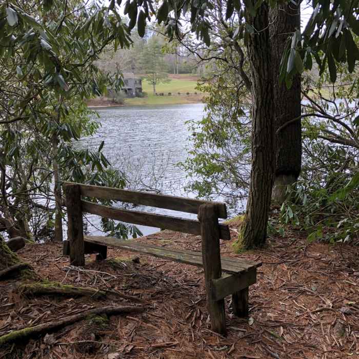 Near Flatlander's Loop