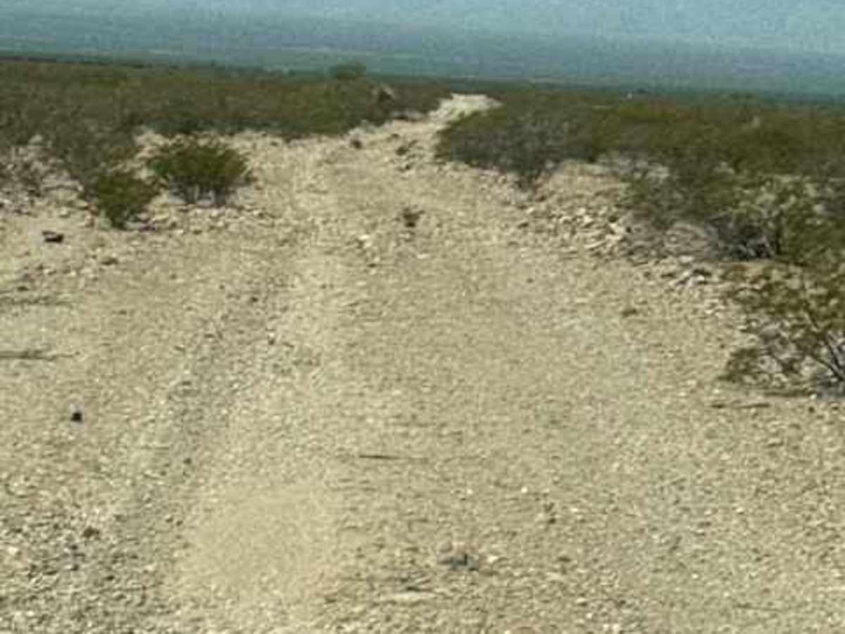 SS1169 trail photo