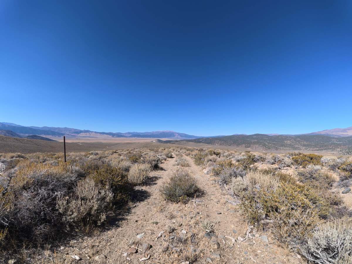 Dog Creek West photo 4