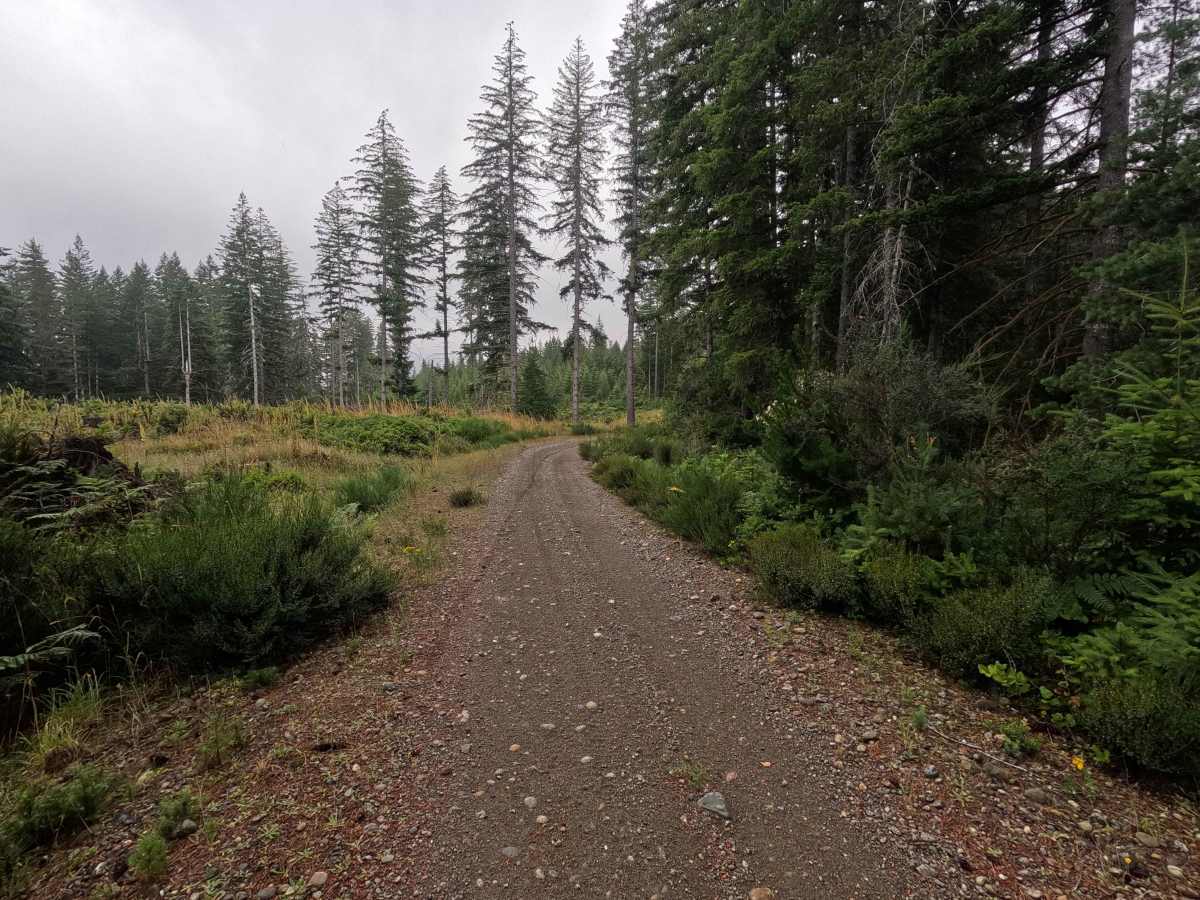 UB Lost Trail photo 5