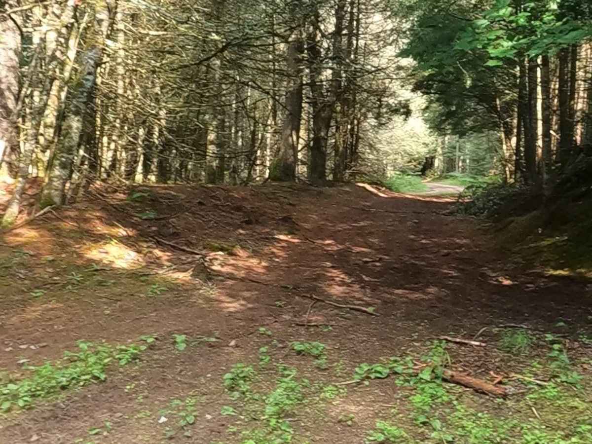Little Black River Spur C (FSR 2233C) photo 5