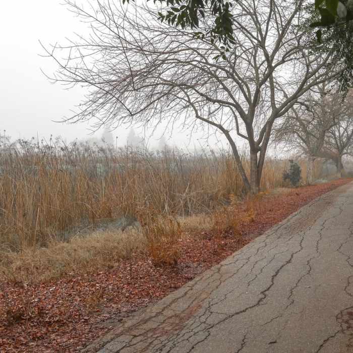 Near Fahrens Creek Trail Near Fahrens Creek Trail