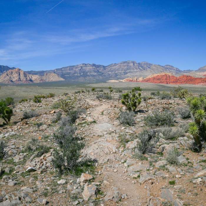 Near Las Vegas Overlook Trail