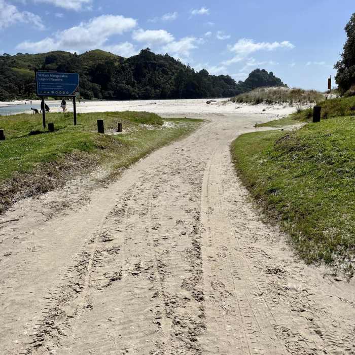 Near New Chums Beach Trail Near New Chums Beach Trail