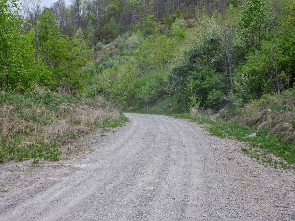 S8 Road photo 2