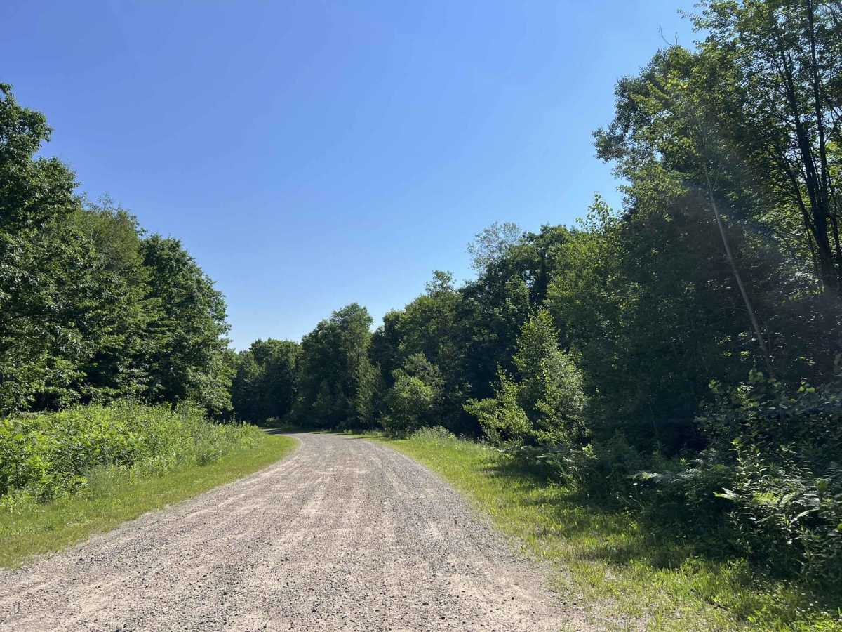 Sokagon Chippewa ATV/UTV Trail - Indian Route 10 trail photo