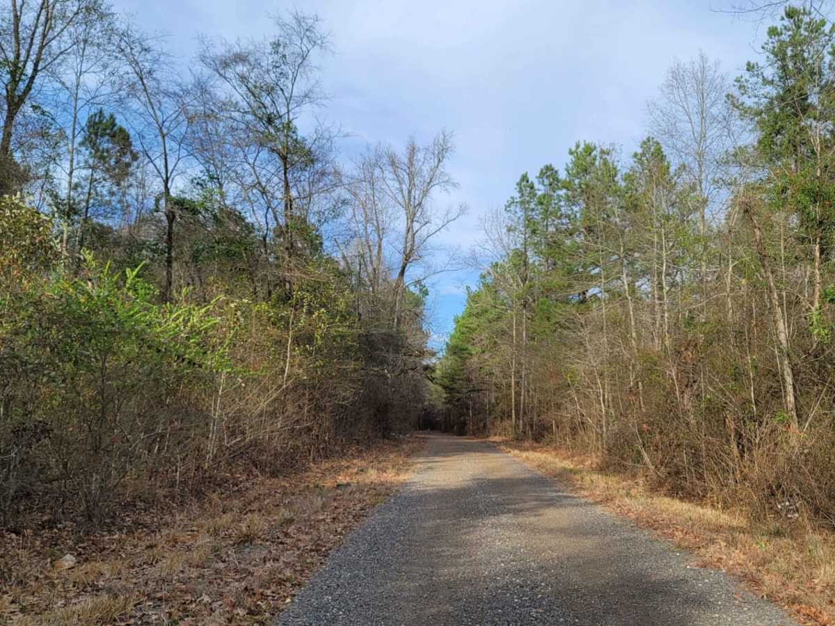 The Dead End Barrel photo 6
