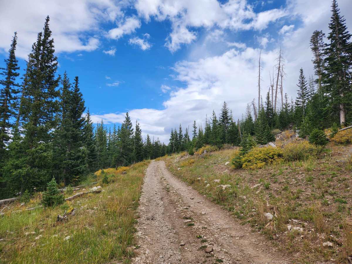 Island Lake Campground - FS 50136 photo 2