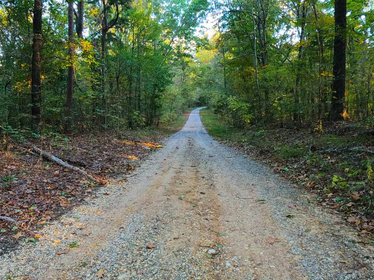 County Line Road - FS 316 photo 6