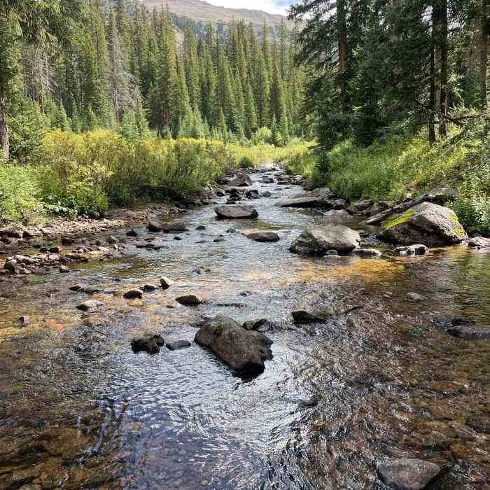 Near Gore Lake Trail