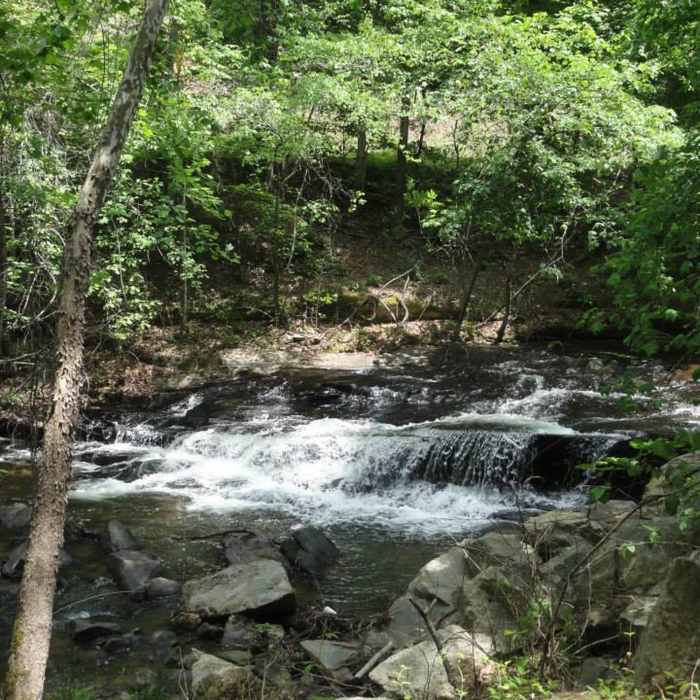 Near Vaughn Creek Greenway