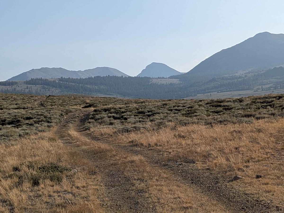 Dog Creek Valley photo 5