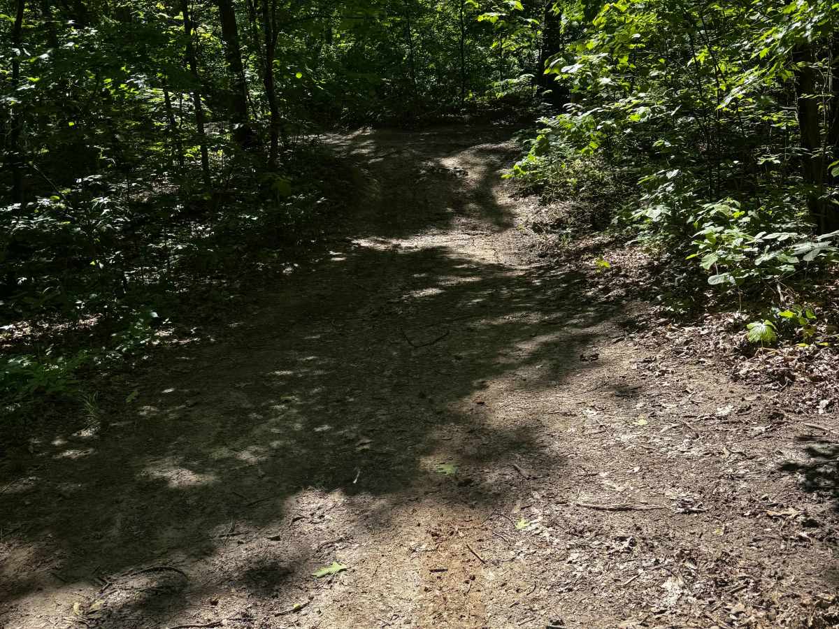 Inner Cut 8 photo 3
