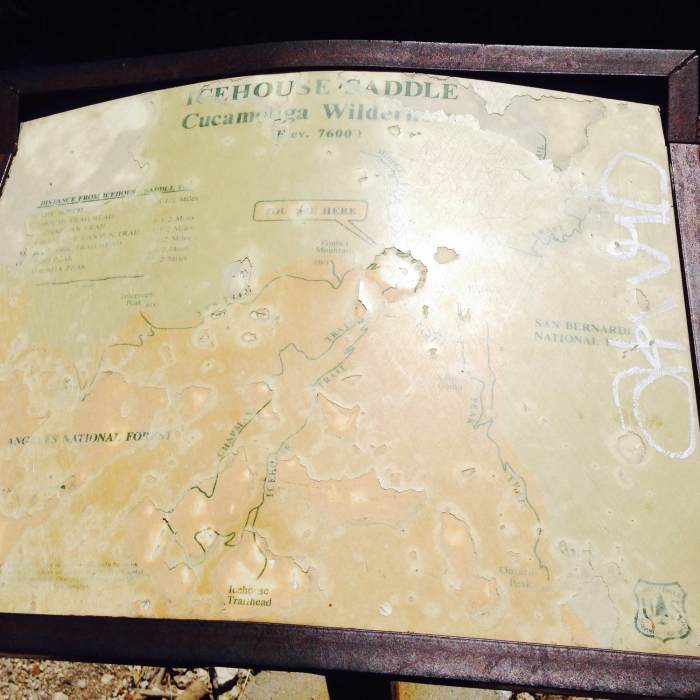 Near Middle Fork Trail #6W01