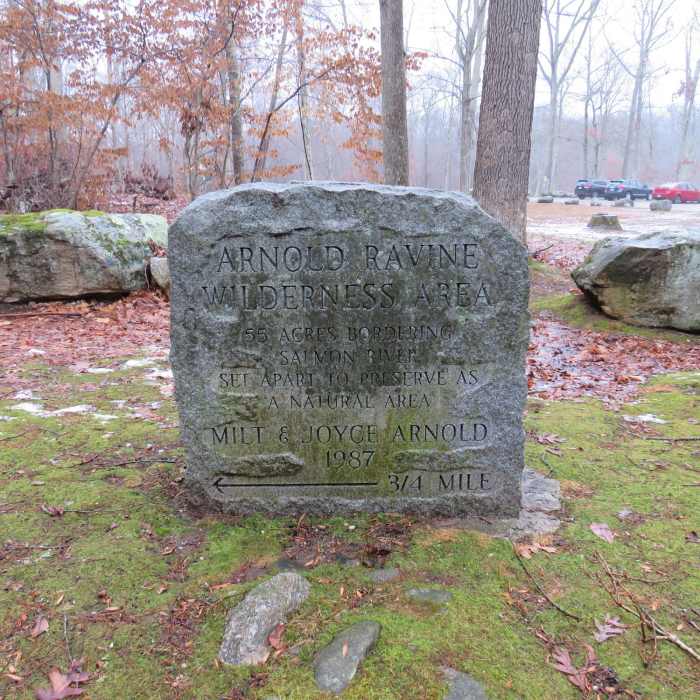 Near Salmon River Trail (Blue Trail)