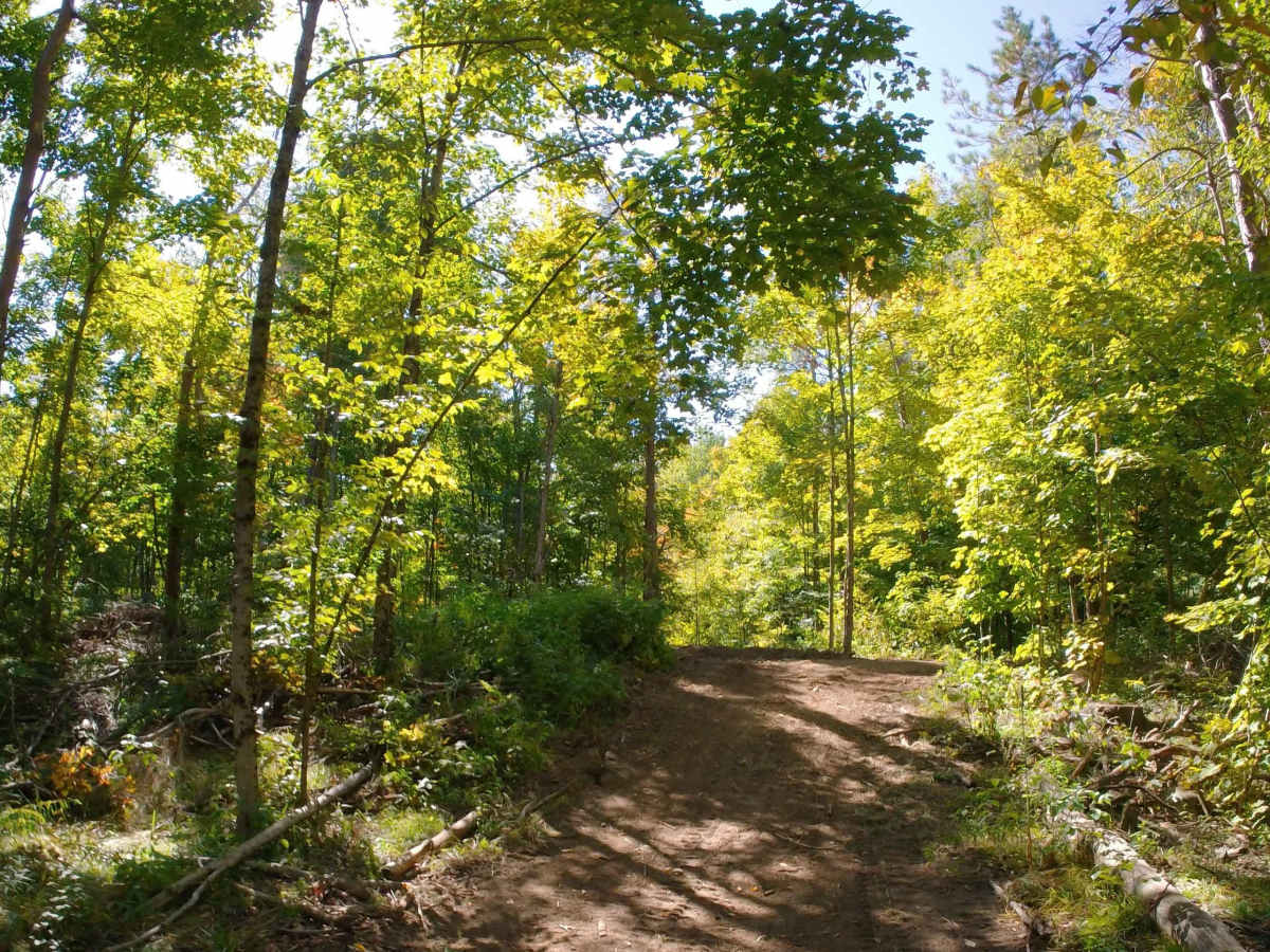 St. Lawrence County Multi-Use Trail - Southern Section photo 3