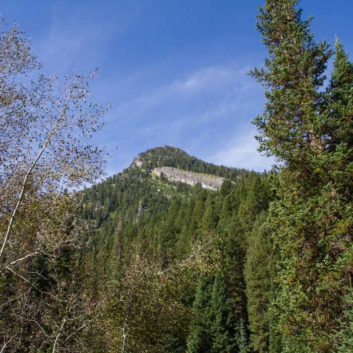 Near Kessler Peak Loop Hike via Carbonate Pass