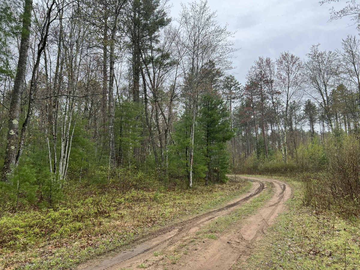 Sawbuck Road - FS 2302 photo 5