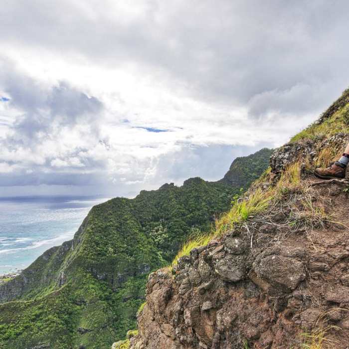 Near Pu'u Manamana Turnover Trail Near Pu'u Manamana Turnover Trail