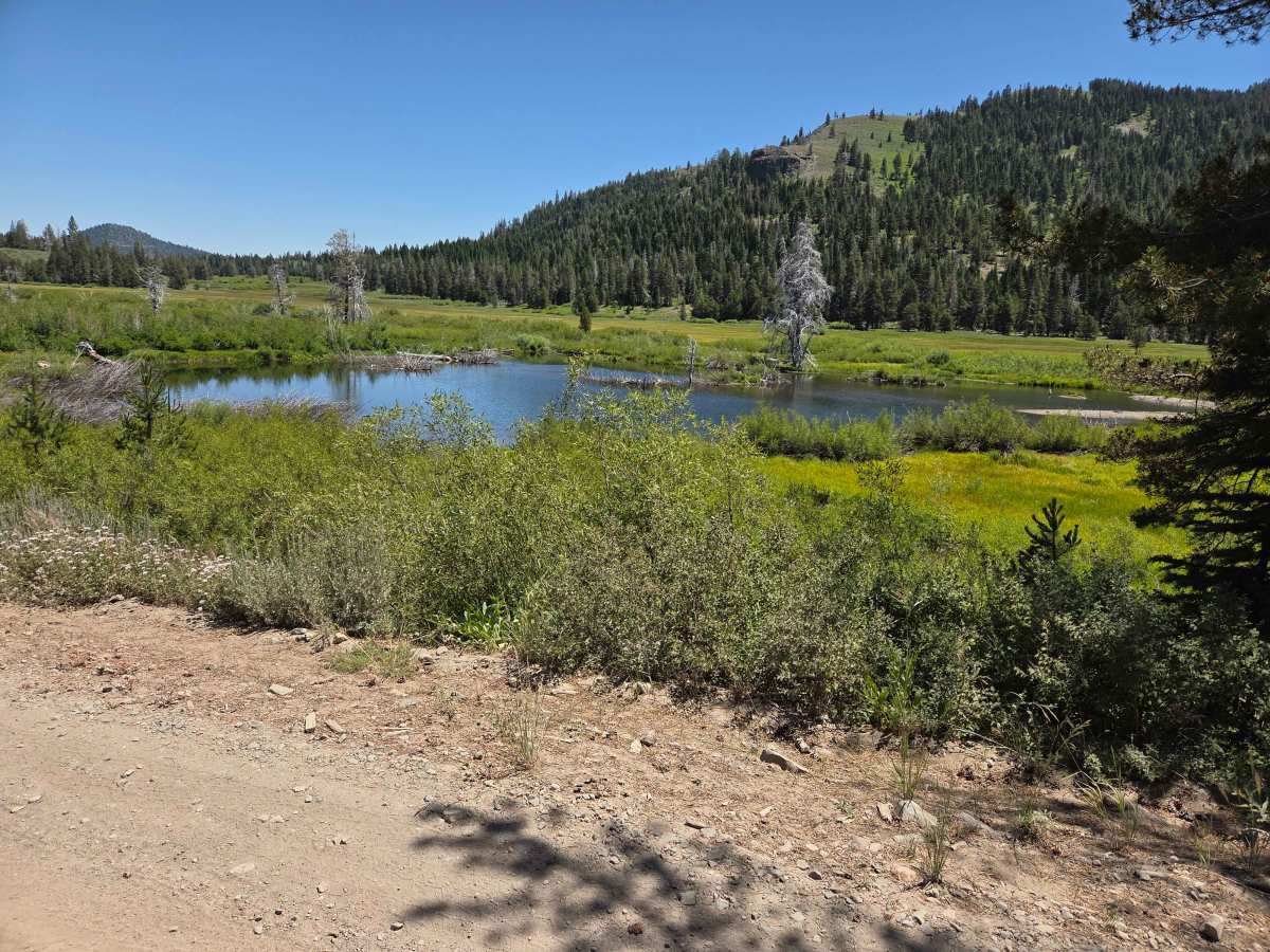 Perazzo Meadows trail photo