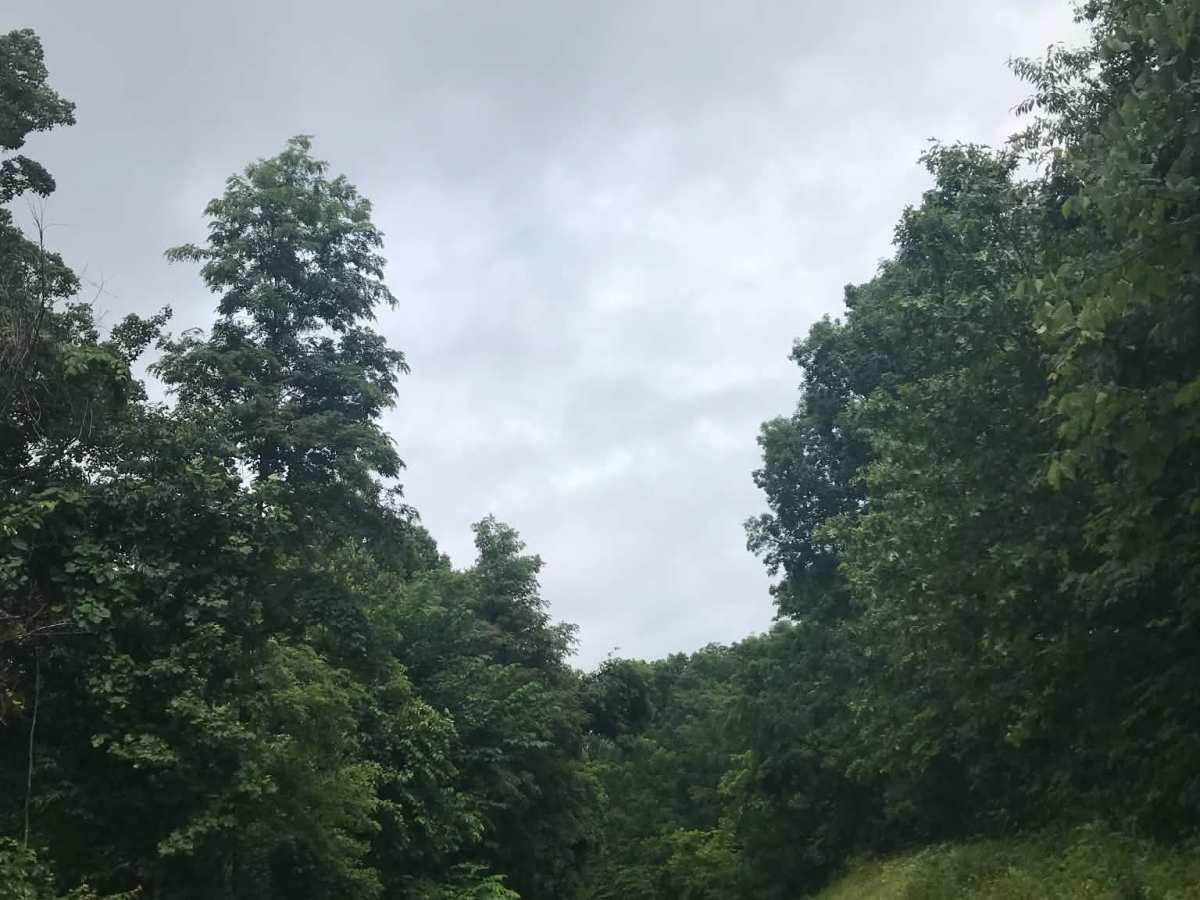 Cades Hollow photo 5