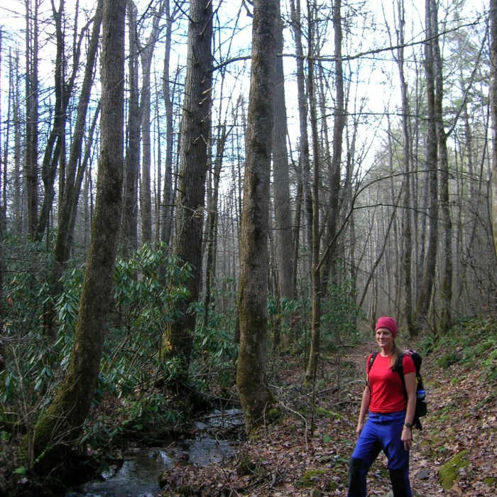 Near Boogerman Trail