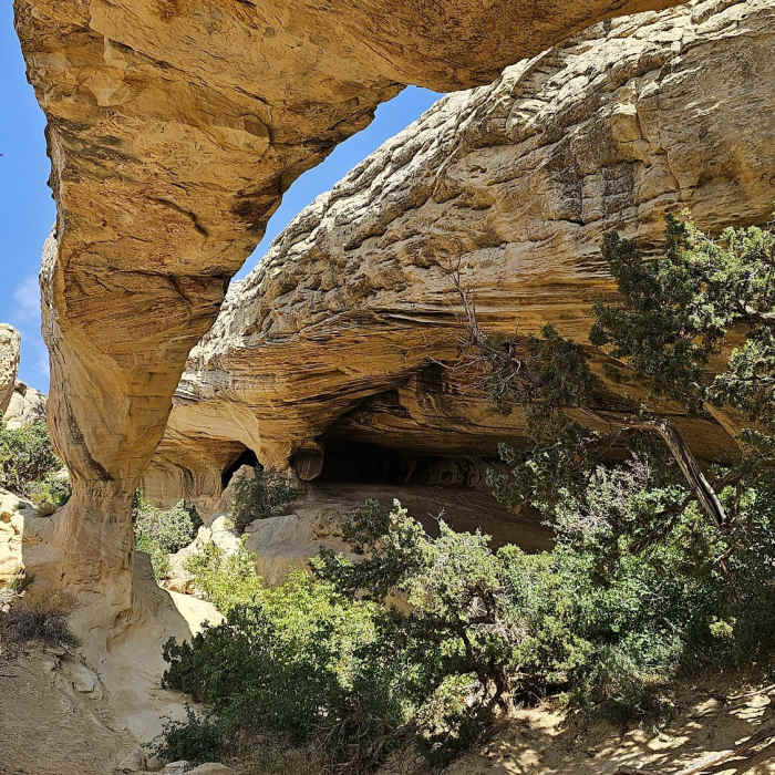 Near Moonshine Arch Trail