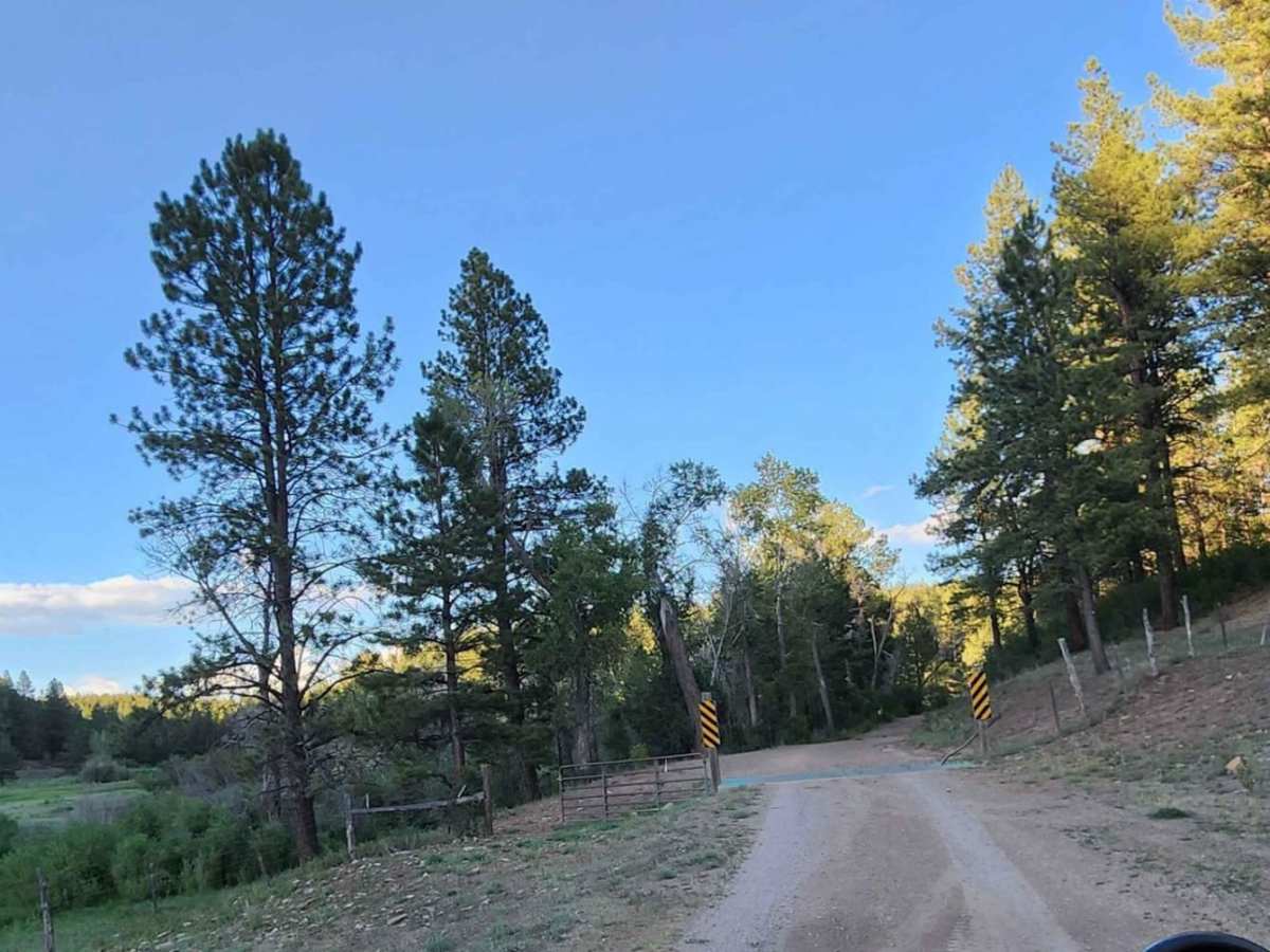 Upper House Creek Road photo 2