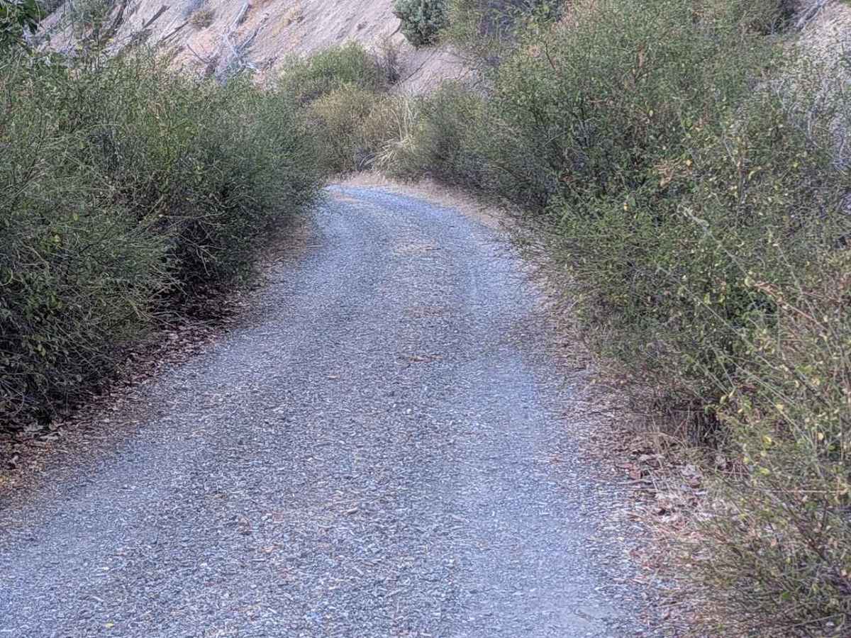 Potato Creek Road - FS 30N04  photo 5