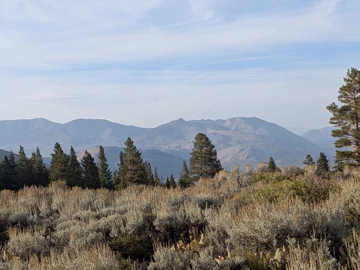 Stockade Flat Road photo 5