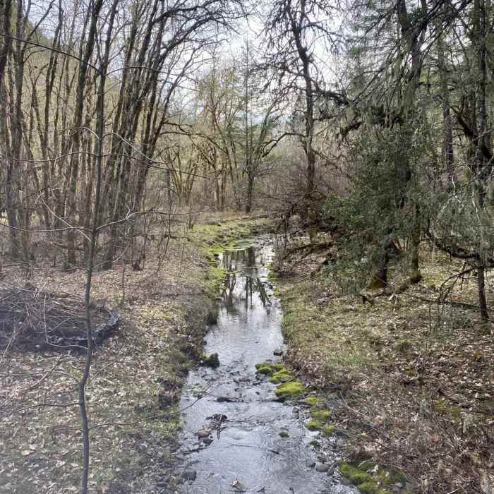 Near Waters Creek Loop Trail