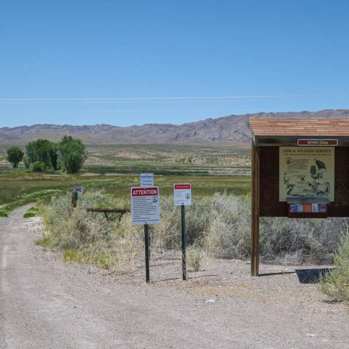 Near WHIN Dike Trail Near WHIN Dike Trail
