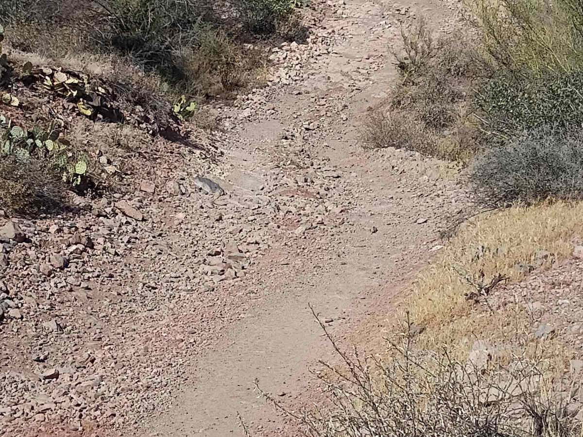 J/K Trail photo 4