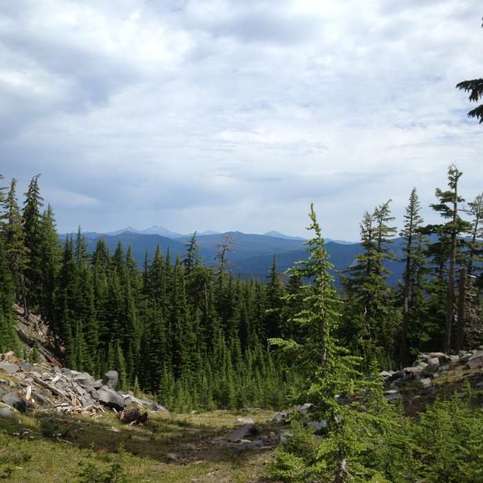 Views of the east side of the Cascades, as seen from the flank of Diamond Peak on the PCT. Near Diamond Peak Loop