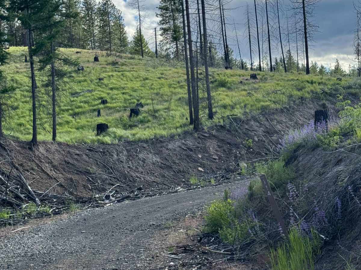 Devil's Table - FS 1500-114 trail photo